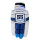 SS Academy Cricket Batting Gloves