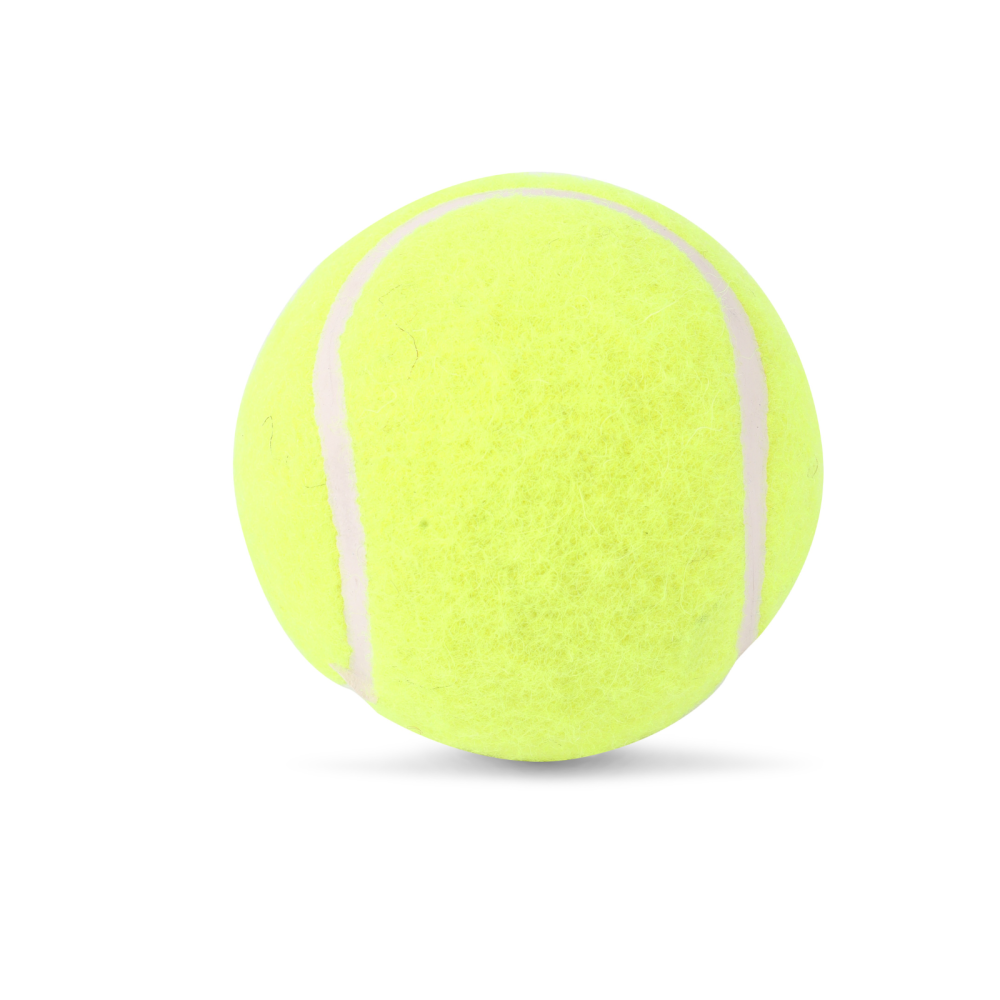 SG Endura Heavyweight Cricket Tennis Ball