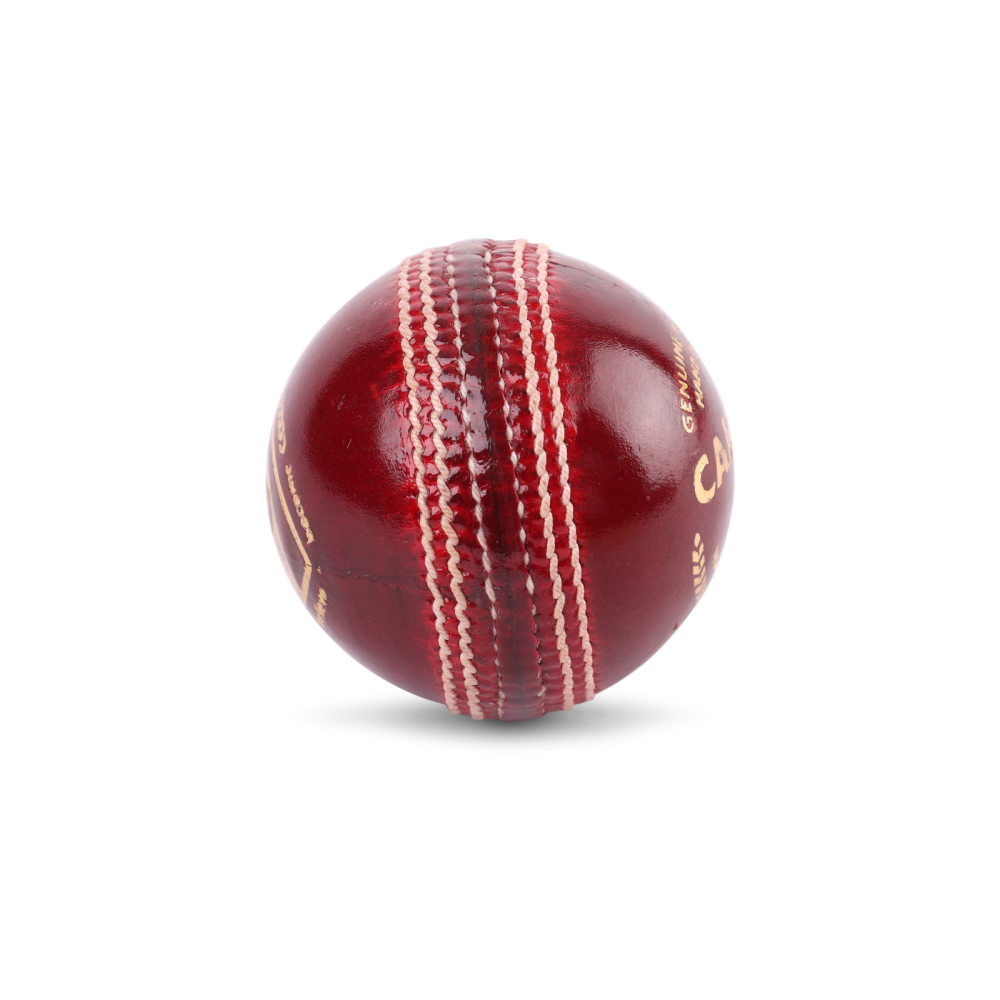 SG Campus Cricket Leather Ball