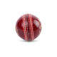 SG Campus Cricket Leather Ball