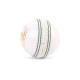 SG Test White Cricket Leather Ball
