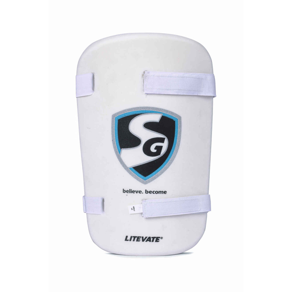 SG Savage English Willow Cricket kit