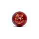 SG SUPER RED Cricket Ball - Using Premium Quality LEATHER, Pack of 1