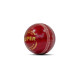 SG SUPER RED Cricket Ball - Using Premium Quality LEATHER, Pack of 1