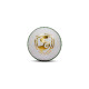 SG Super Cricket Leather Ball - White