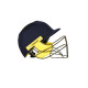 SS Premium Cricket Helmet